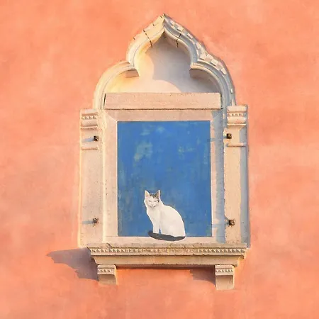 Casa Bepi * Kanfanar